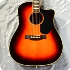 Fender Acoustic KINGMAN SCE 2011