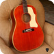 Gibson J-45 Adj 1967