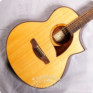 Ibanez Aew2212cd 2017