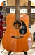 Aria Aria Dreadnought 1995-Natural