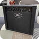 Peavey ALONE 2010