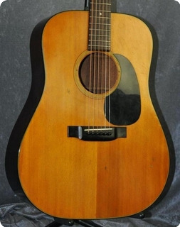 Martin D 18 1973