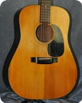 Martin D 18 1973