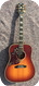 Gibson-Gibson Hummingbird Deluxe Lefty-2019-Rosewood Burst 