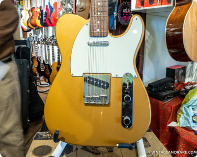 Tokai Breezysound  Gold