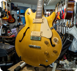 Gibson Les Paul Signature 1975 Goldtop