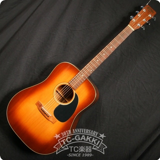 Martin '76 D 18 Shaded Top 1976