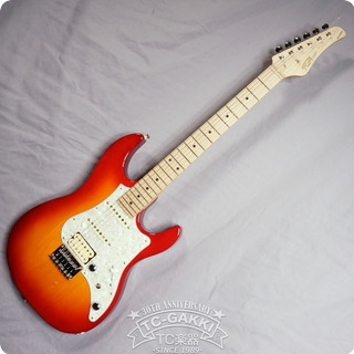 Fujigen (fgn) 2019 Bos Boundary 2019