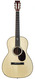 Santa Cruz 00 Eric Skye Cocobolo Adirondack 1189