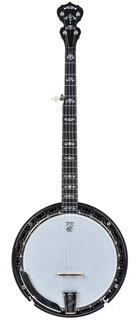 Deering Sierra 5 String Banjo