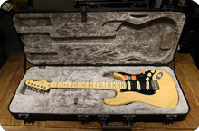 Fender-Stratocaster American Professional-2018-Natural
