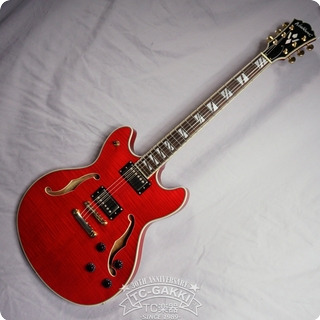 Washburn Hb35wr 2010