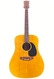 Gibson J 50 1969