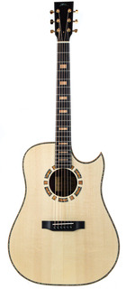 Bsg D32 Scf Madagascar Rosewood Sitka Spruce