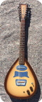 Danelectro-Bellzouki-1962-Sunburst Copper