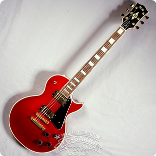 Fujigen (fgn) 2010 Nlc10rmp 2010