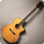Larrivee LSV 11 2000