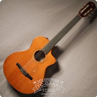 Taylor Ns72ce 2010