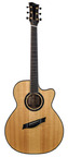 BSG GA45CF Fan Fret Recent