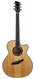 BSG GA45CF Fan Fret Recent