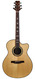 PRS Angelus Cutaway Prototype 33 Steve Fischer 2008
