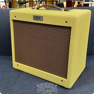 Hgt Hg Amp Ii 2010