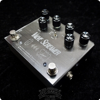 Lee Custom Amplifier × Susumu Tamura Valve Screamer 2010