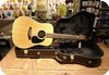 Takamine EF360 GlennFrey-Natural