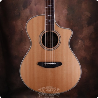 Breedlove C22ce With L.r.baggs Stagepro Anthem 2016