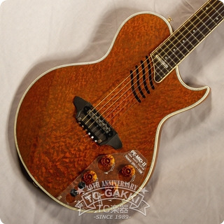 Aria Custom Shop Pe Mid Ii + Gr 09(w/gr9e 1 Expansion Board) 1994
