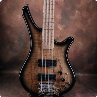 Esp Ws Type Spalted Flame Maple [3.95kg] 2000