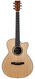 Lakewood M53 Custom TFOA Anniversary Edition #32060 2021 Lakewood M53 Custom TFOA Anniversary Edition #32060 2021