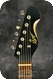 Sago New Material Guitars Style T Custom 2010