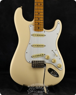 2012 Fender Mexico Ltd Ed Stratocaster HSS Black Paisley