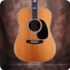 Martin 1976 D 41 1976