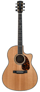 Larrivee Lv 10 2016