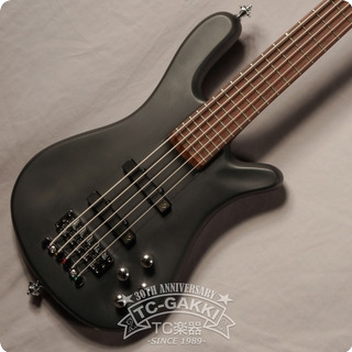 Warwick Streamer Rock Bass [4.35kg]. 2019