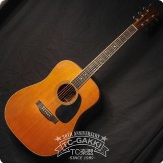 Martin 1969 D 35 1969