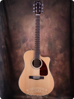 Fender Cd 140sce 2013