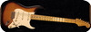 Fender Stratocaster Eric Johnson 2010 2 Tone Sunburst