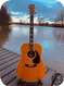 Martin D 41 1974 Natural