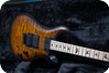Prs Guitars Dustie Waring DW CE 24 Burnt Amber Smokeburst