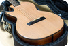 Pagelli Guitars-Surroudsound Parlor