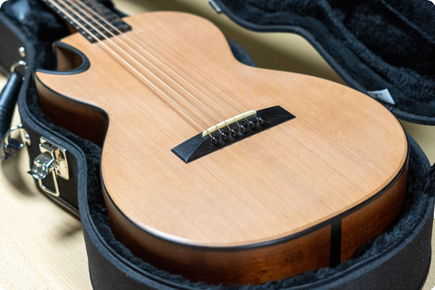 Pagelli Guitars Surroudsound Parlor