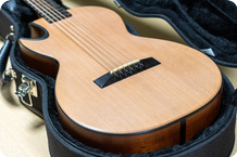 Pagelli Guitars Surroudsound Parlor