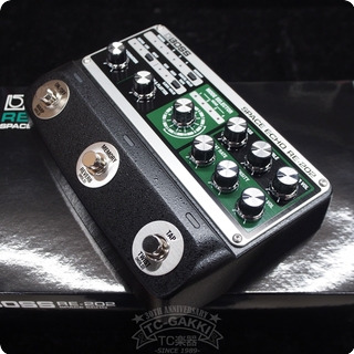 Boss Re 202 Space Echo 2021