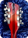 Rickenbaker -  381 12 String 2000 Fireglo