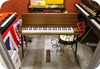 Hohner Pianet N Natural