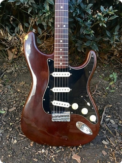 Fender Stratocaster 1979 Mocha Brown