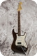 Fender Stratocaster 2006 Mashed Brown